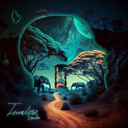 Davido – "Feel"